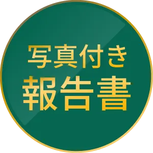写真付き報告書
